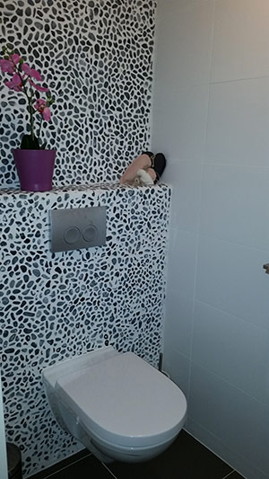 https://www.badkamerstotaal.nl/wp-content/uploads/2016/11/02toilet.jpg