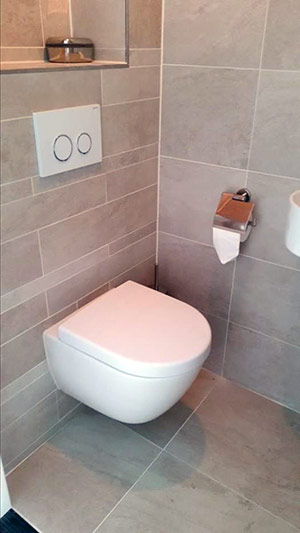 https://www.badkamerstotaal.nl/wp-content/uploads/2016/11/03toilet.jpg